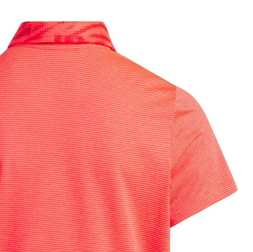 Pure Ruby/Lucid Red