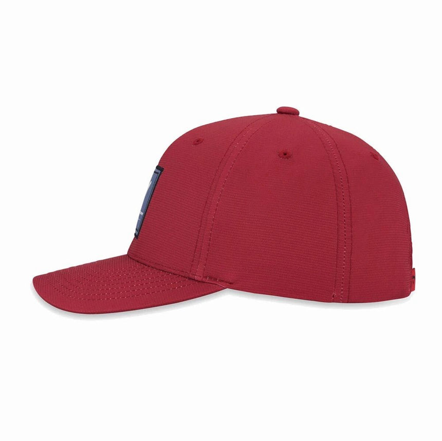 Cardinal Red