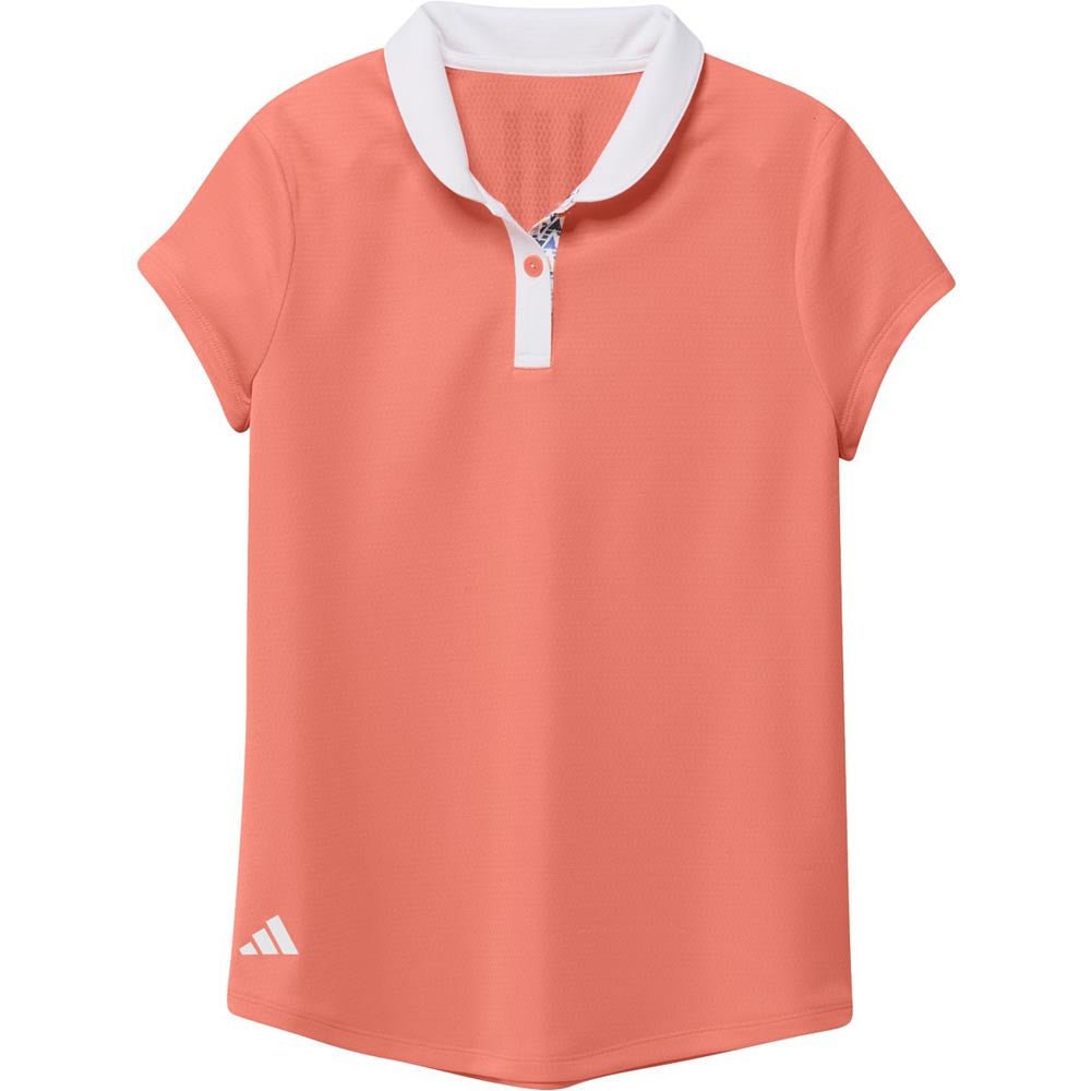 Coral Fusion