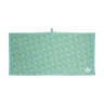 Light Aqua