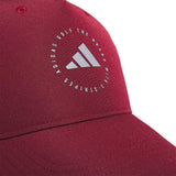 Team Collegiate Burgundy