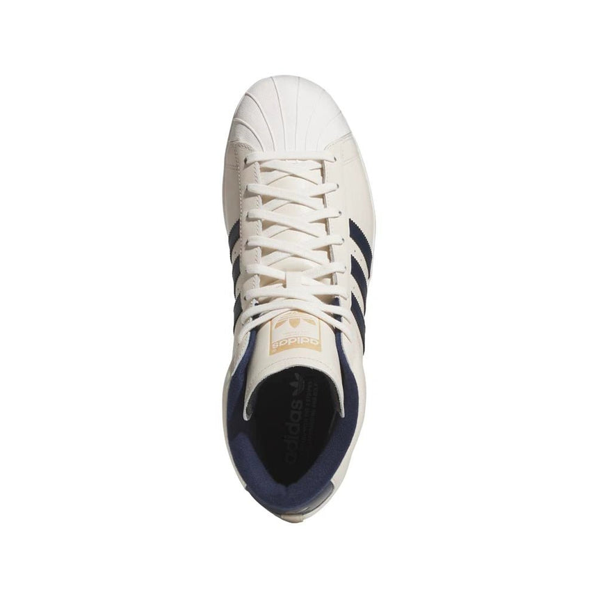 Chalk White/Night Indigo/Gold Metallic