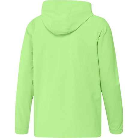 Green Spark