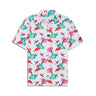 Flock With Me