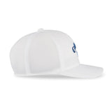 White Navy