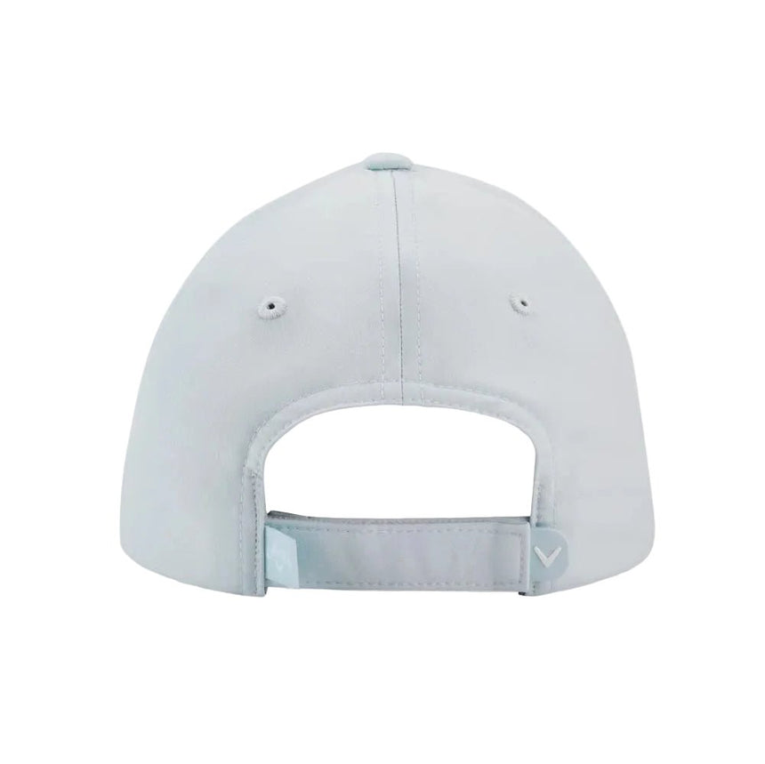 Blue/Silver