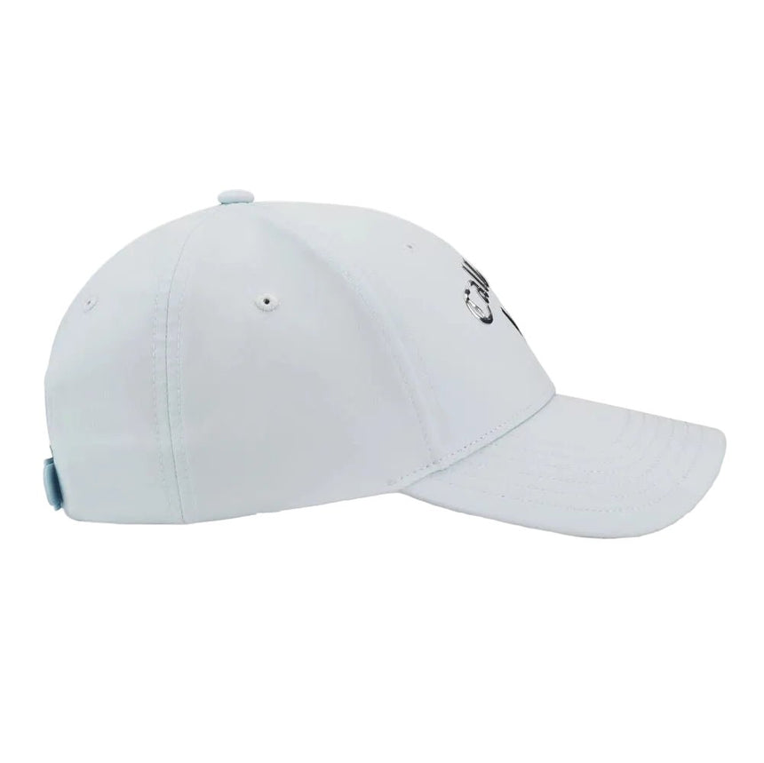 Blue/Silver