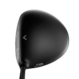 Black/Silver