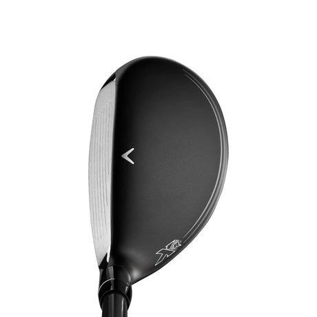 Black/Silver