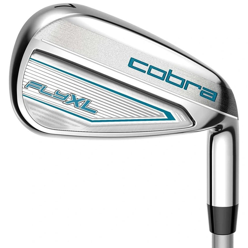 Silver/Blue