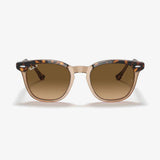 Hawkeye - Havana Transparent Brown/Brown Gradient Polarized
