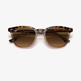 Hawkeye - Havana Transparent Brown/Brown Gradient Polarized