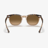 Hawkeye - Havana Transparent Brown/Brown Gradient Polarized