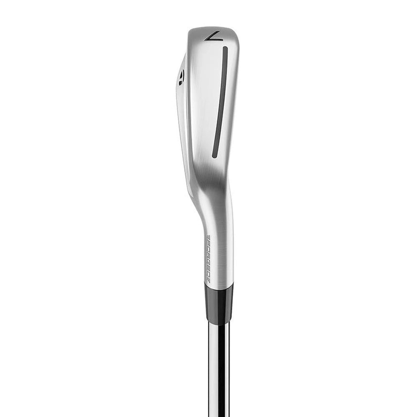 TaylorMade P790 Iron Set