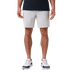 Micro Chip