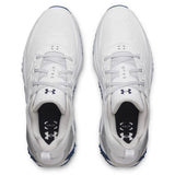 White/Metallic Silver
