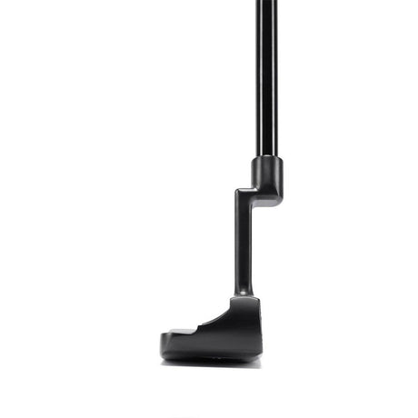 Black Ion